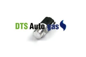 DTS Auto Gas