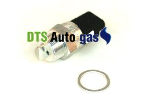 DTS Auto Gas