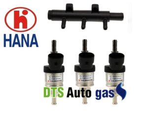 DTS Auto Gas