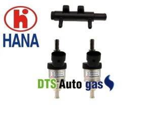 DTS Auto Gas
