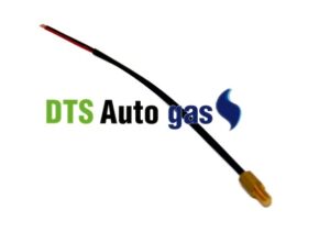 DTS Auto Gas