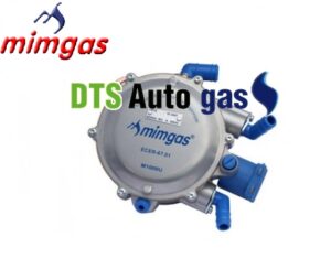 DTS Auto Gas