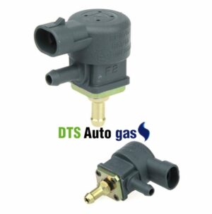 DTS Auto Gas