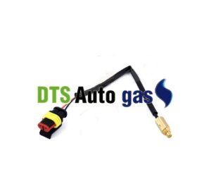 DTS Auto Gas