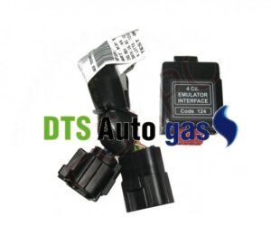DTS Auto Gas