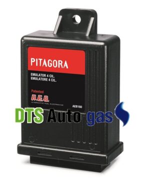 DTS Auto Gas