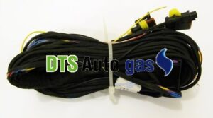 DTS Auto Gas