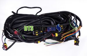DTS Auto Gas