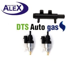 DTS Auto Gas