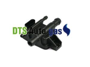 DTS Auto Gas