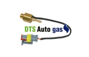 DTS Auto Gas