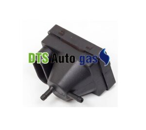 DTS Auto Gas