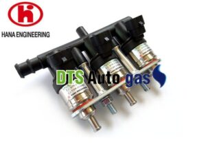 DTS Auto Gas