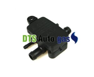 DTS Auto Gas