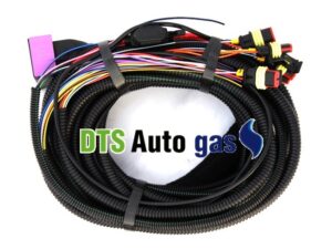 DTS Auto Gas