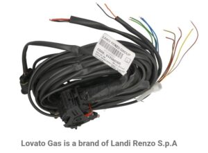 DTS Auto Gas