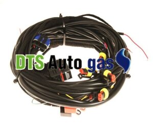 DTS Auto Gas