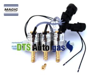 DTS Auto Gas