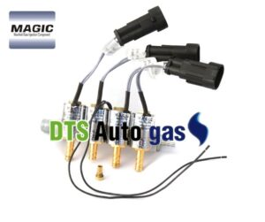 DTS Auto Gas