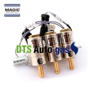 DTS Auto Gas