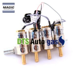 DTS Auto Gas