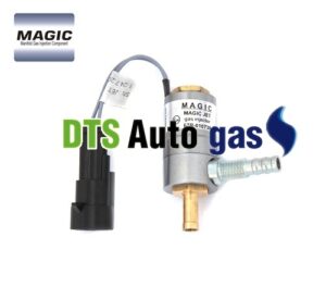 DTS Auto Gas