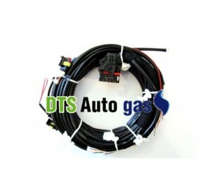 DTS Auto Gas
