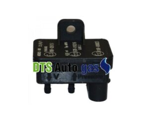 DTS Auto Gas
