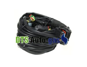 DTS Auto Gas