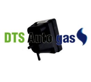 DTS Auto Gas