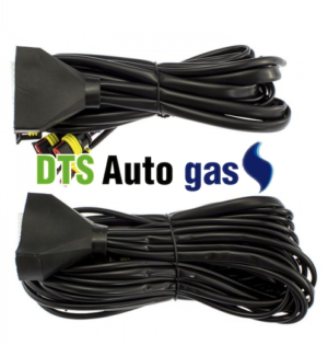 DTS Auto Gas
