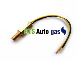 DTS Auto Gas
