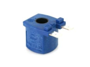 DTS Auto Gas