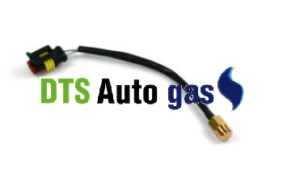 DTS Auto Gas